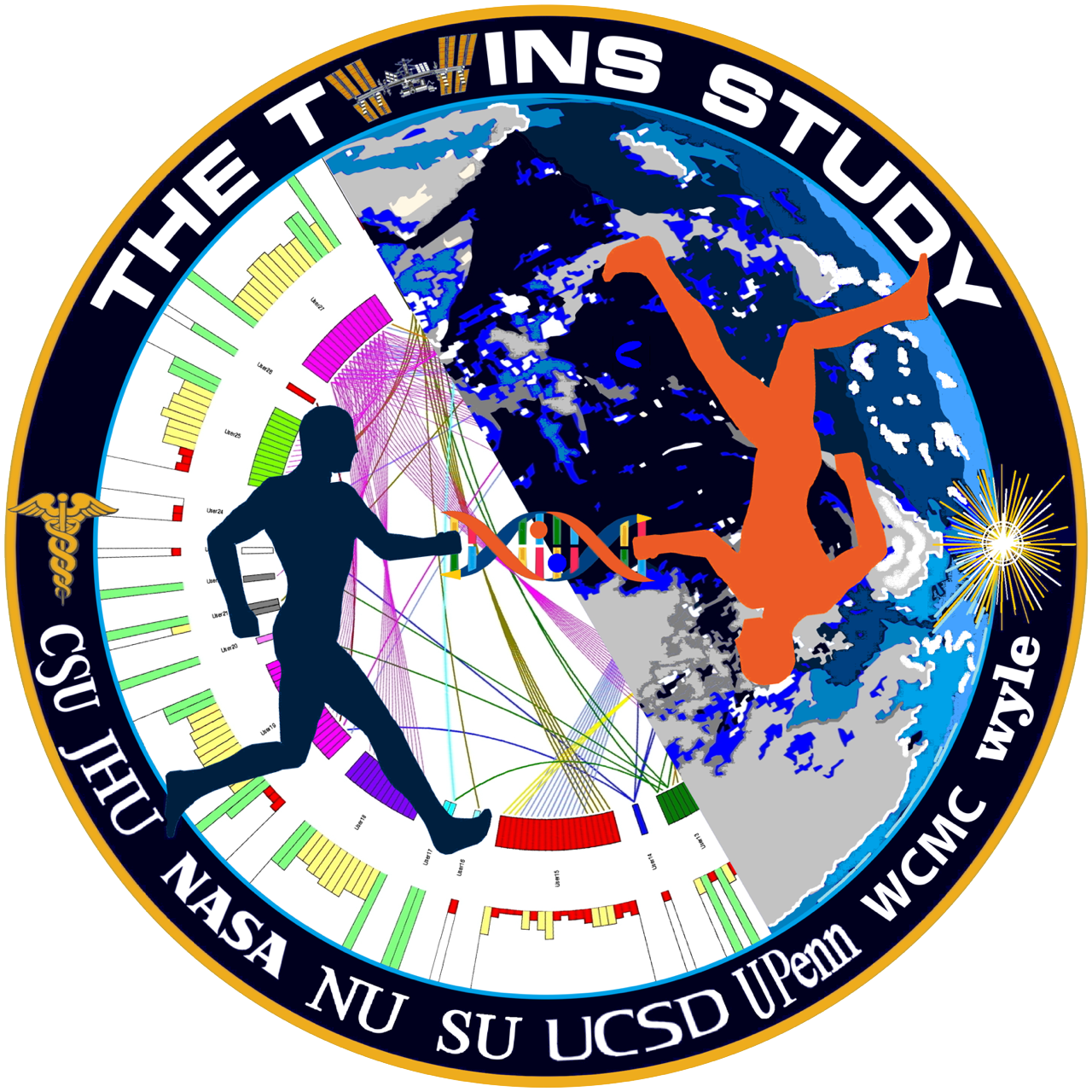 NASA Twins Study logo