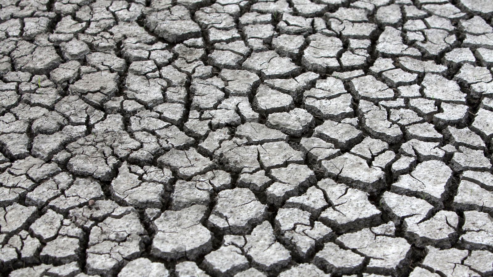A close-up of cracked, dry ground showcasing severe drought and its impact on land.