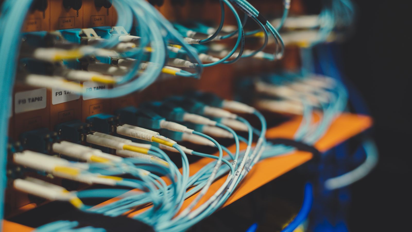 Closeup of many cables with blue wires plugged in modern switch with similar adapters on blurred background in modern studio