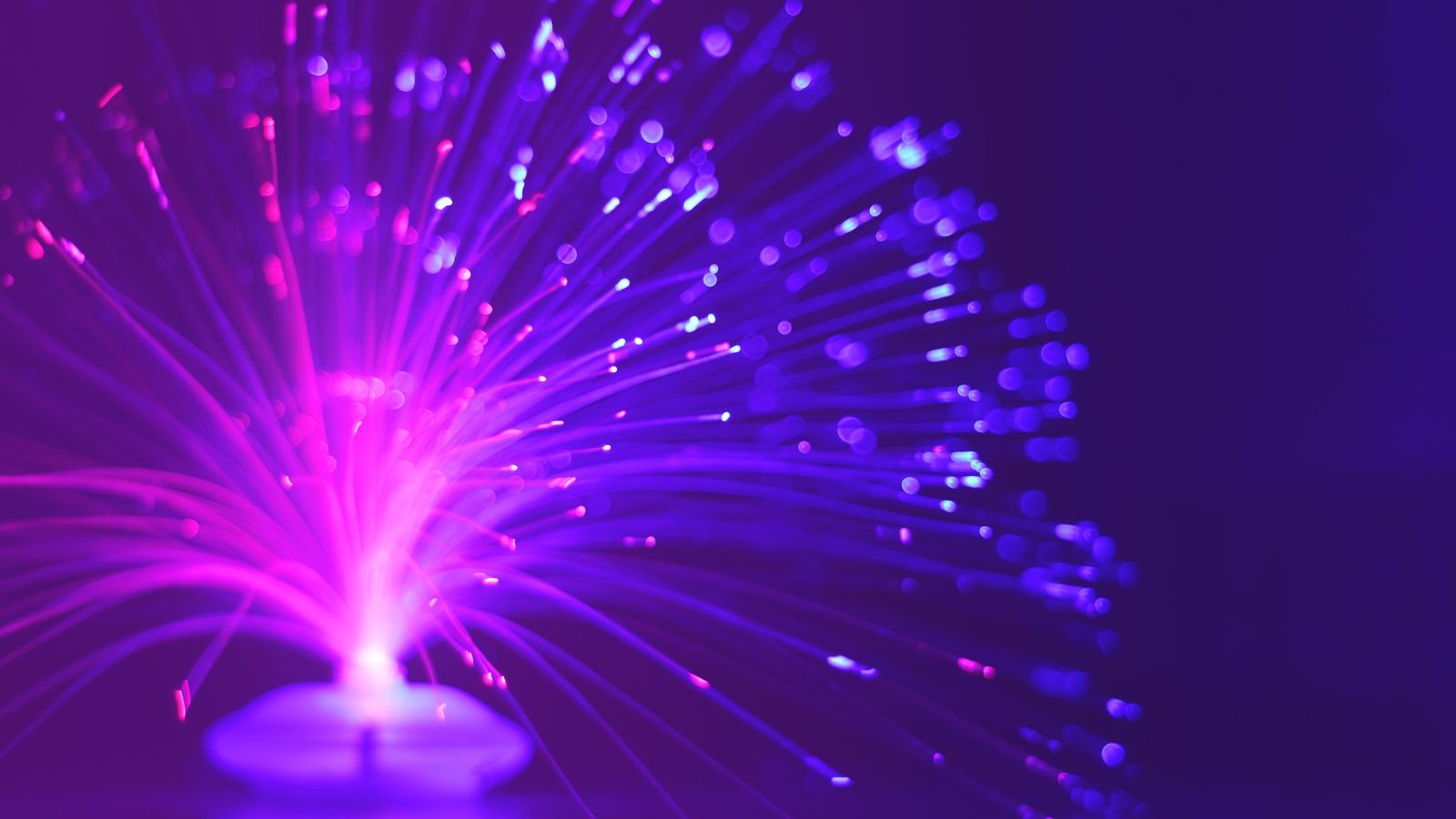 Abstract image of a vibrant purple and pink fiber optic light glowing at night.