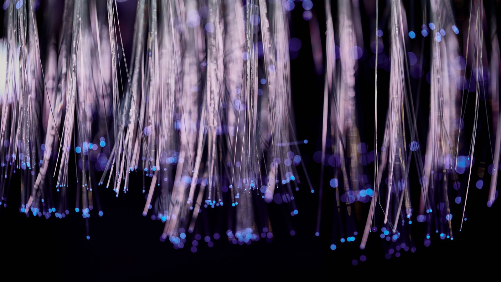 Close-up of glowing fiber optic lights with a purple and blue bokeh effect.