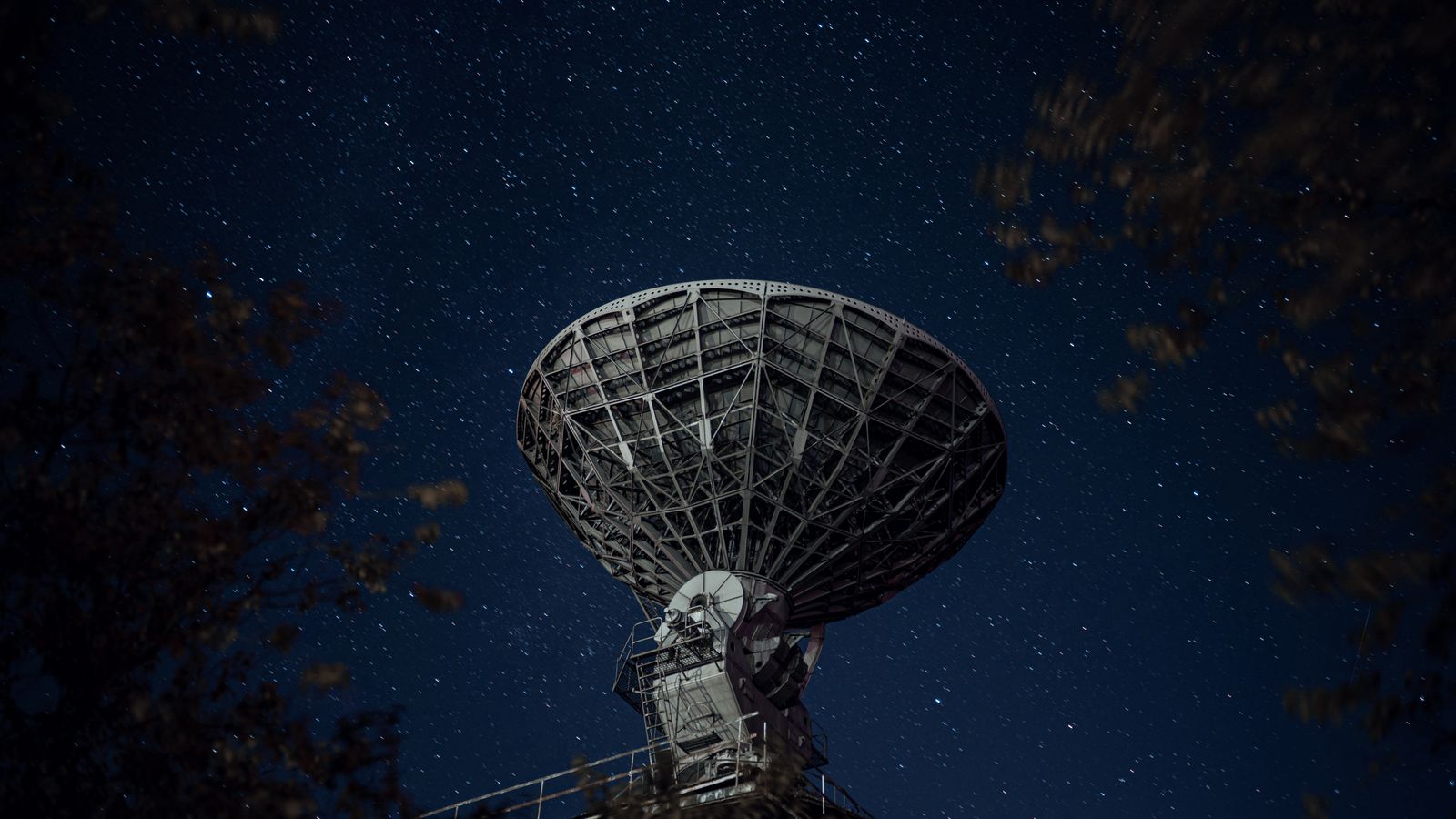 From below of blue starry sky over radio telescope and trees with leaves