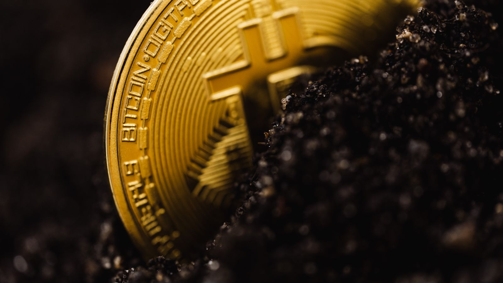 A close-up shot of a Bitcoin partially buried in soil, symbolizing digital currency growth.