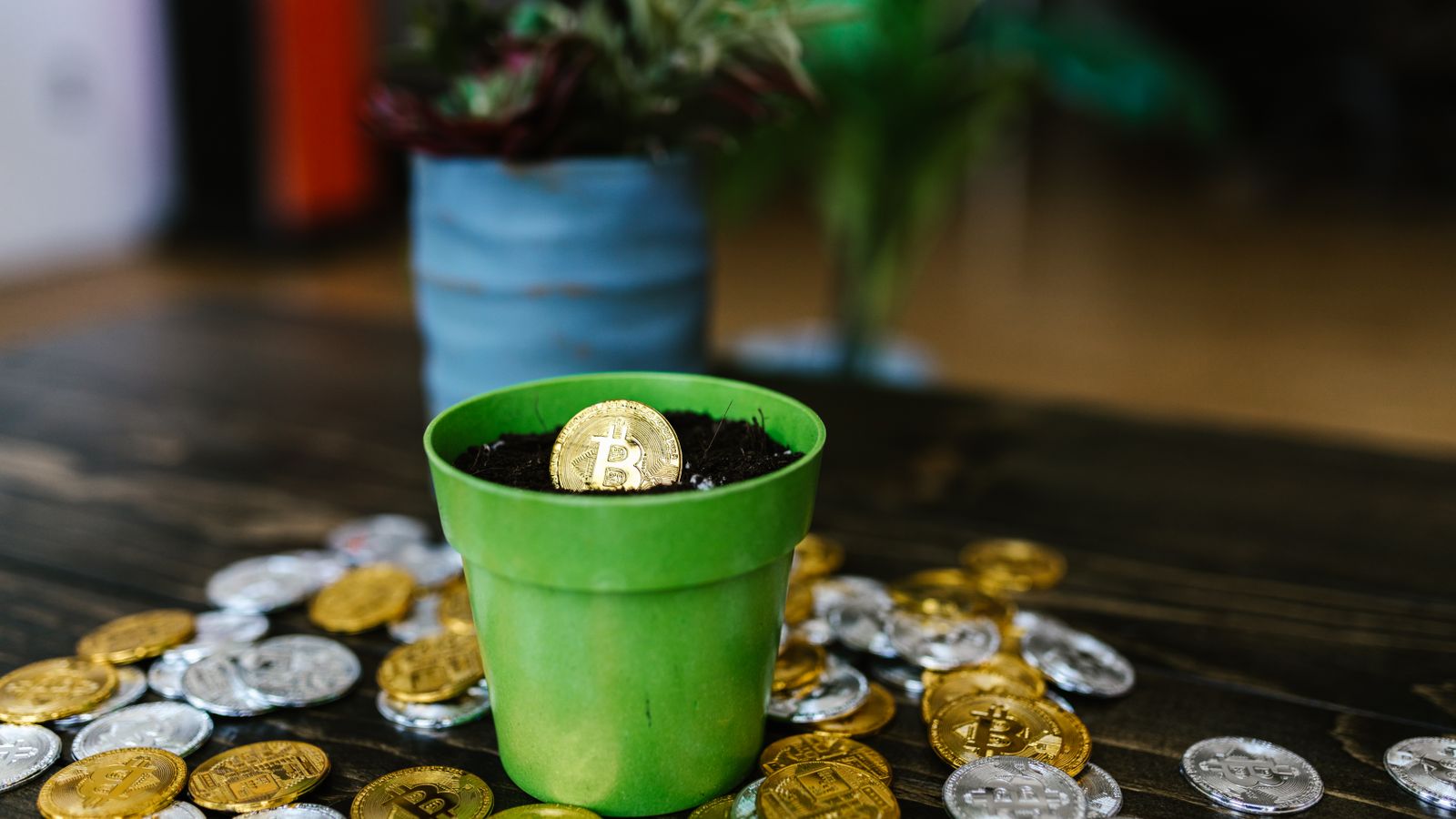 Bitcoin coin in a green pot surrounded by crypto coins on a wooden table.