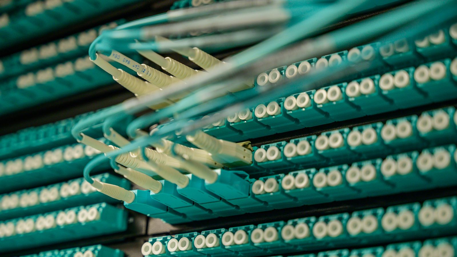 Vibrant close-up of network cable connectors with colorful lighting.