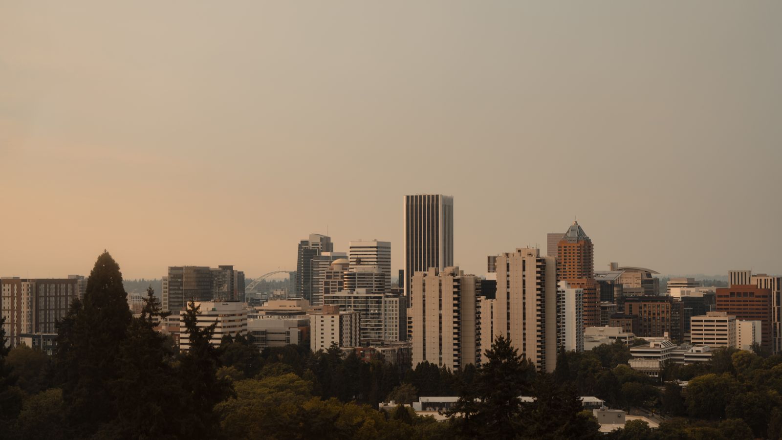 Captivating Portland skyline framed by trees at sunset, highlighting urban architecture.