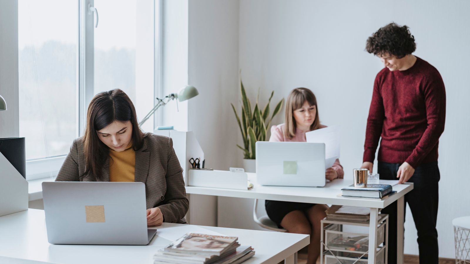 Group of colleagues working together in a bright, modern office space with laptops.