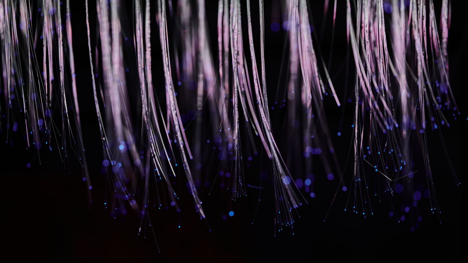 Abstract image of ethereal fiber optic strands cascading with glowing blue lights.