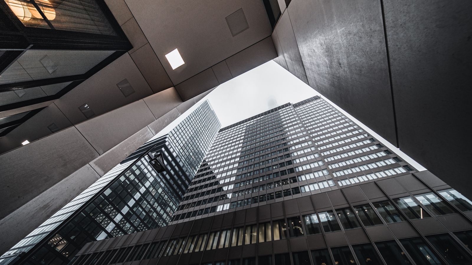 Contemporary office setting with diverse employees working diligently at their cubicles.