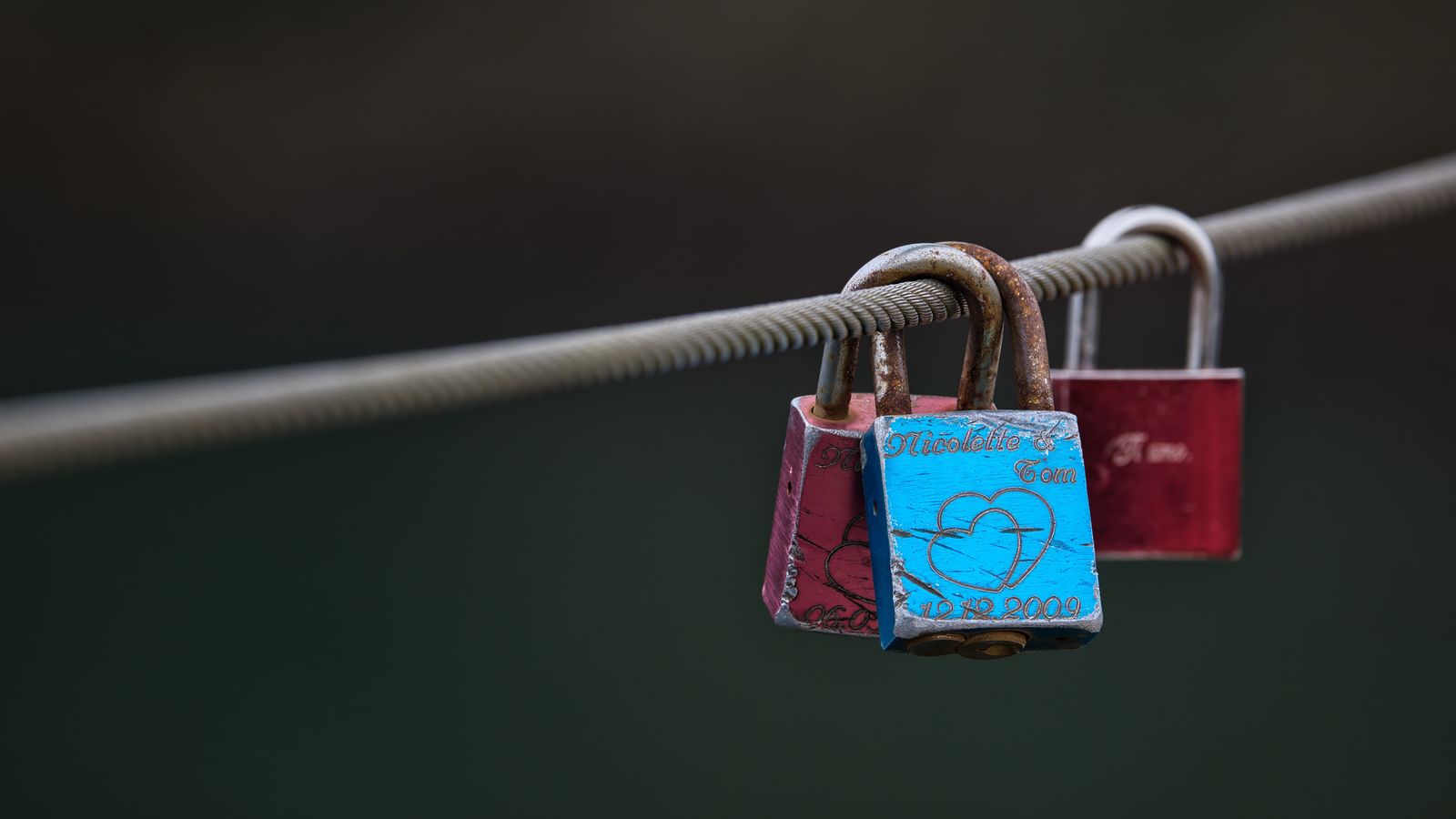 Close-up of colorful love padlocks on a cable, symbolizing eternal love and commitment.