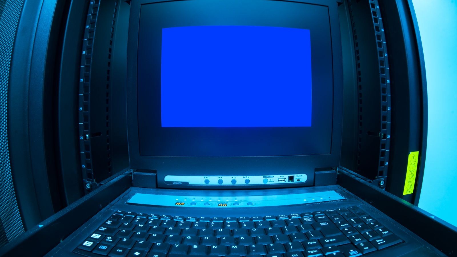 Close-up of blue ethernet cables hanging in a data center, highlighting technology connections.