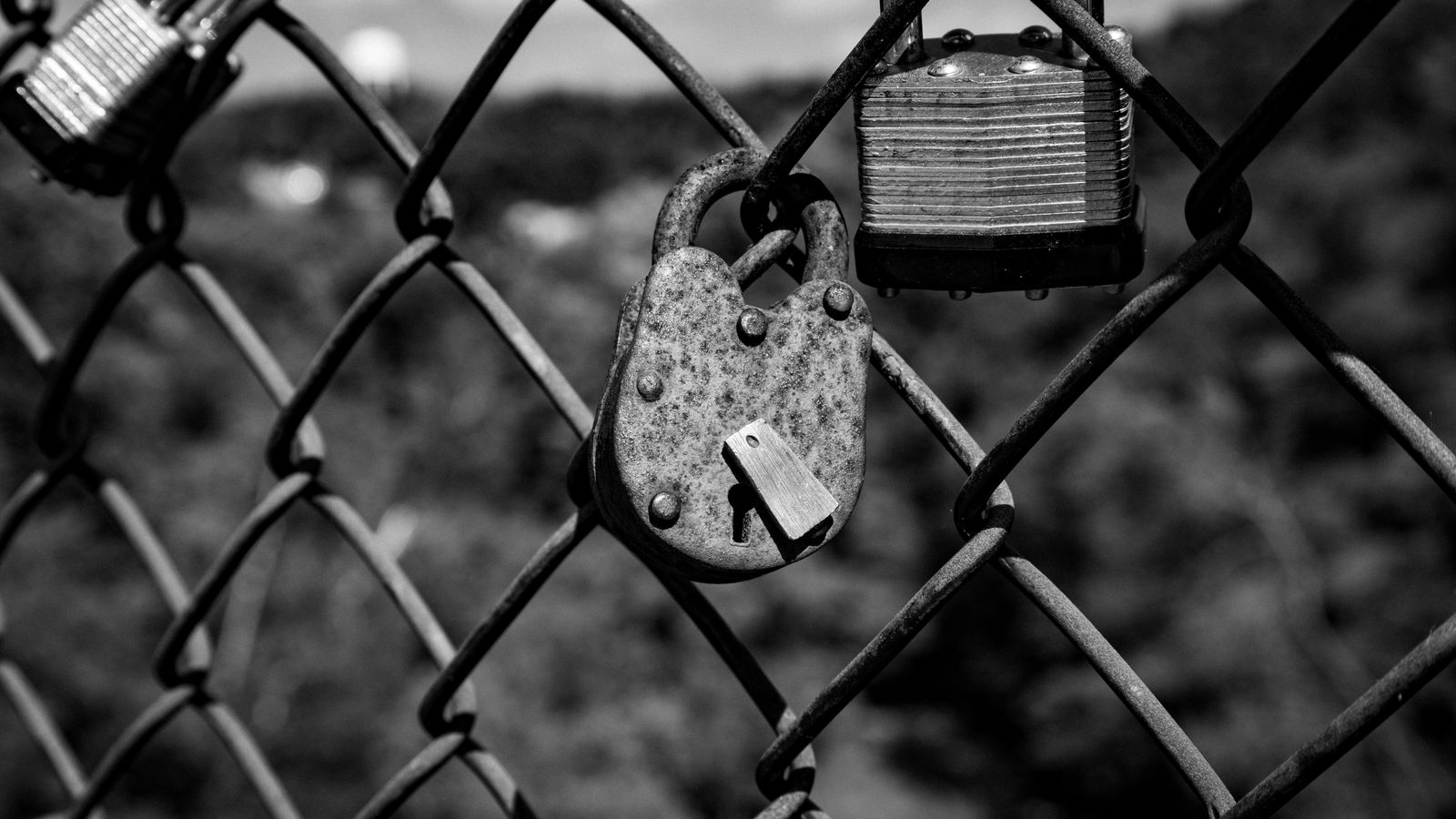 Black and white close-up of rusty padlocks on a fence symbolizing security and love.