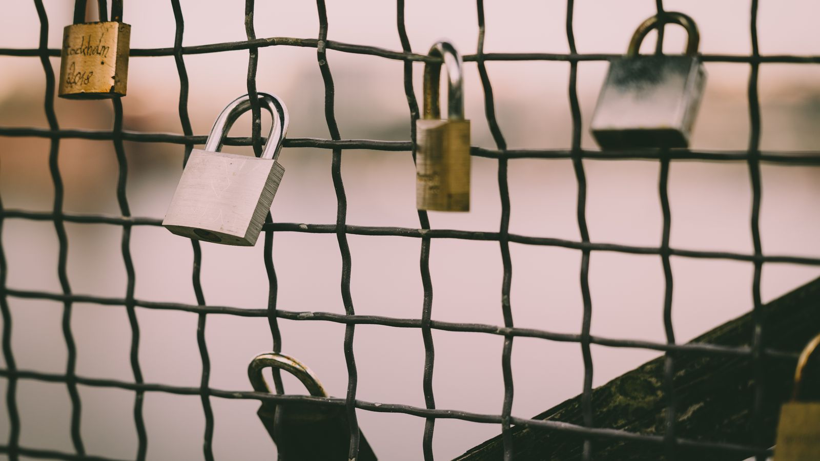 Close-up of romantic love padlocks hanging on a metal wire mesh fence by a river.