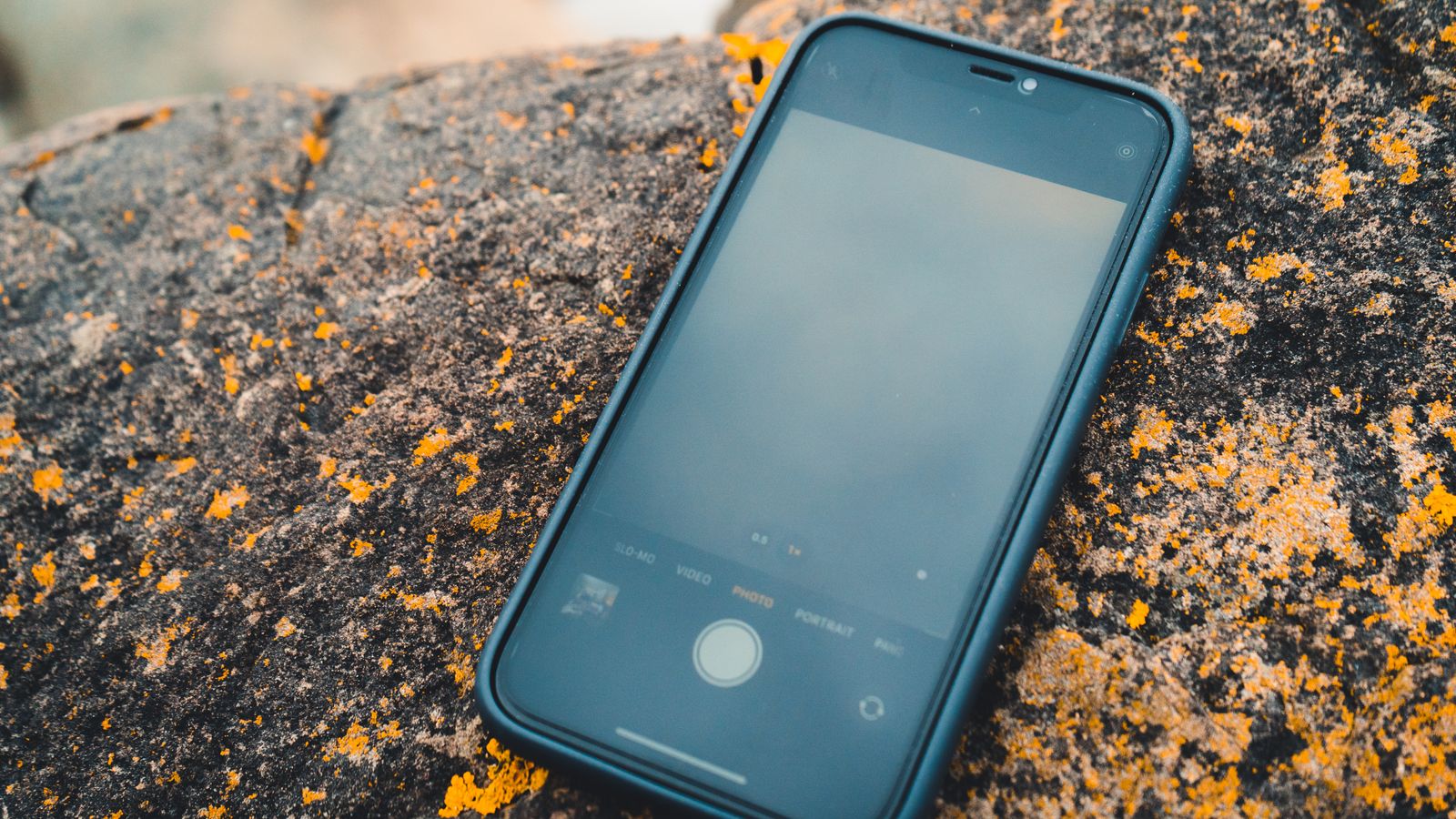 A smartphone lying on a lichen-covered rock, blending technology with nature.