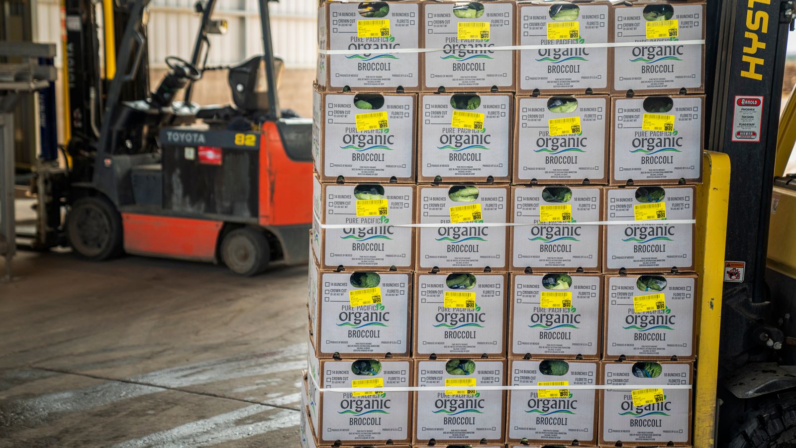 Forklift managing stacks of organic broccoli boxes for shipment in a warehouse setting.
