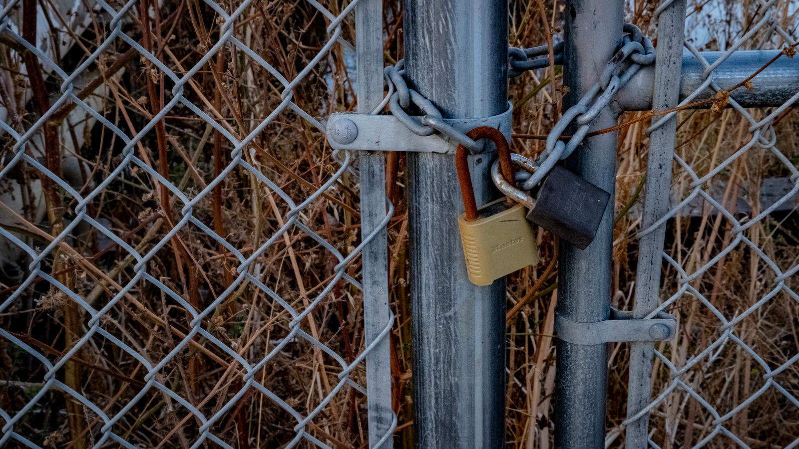 A close-up of a chain link fence with padlocks securing it, symbolizing high security outdoors.